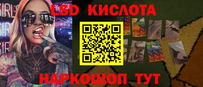 бошки Сланцы