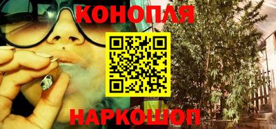 бошки Сланцы