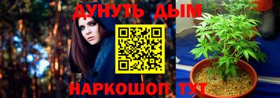бошки Сланцы